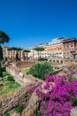 Roma, İtalya. 25 Mayıs 2020: Largo di Torre Arjantin, Roma 'da dört Roma Cumhuriyetçi tapınağı ve Pompey Tiyatrosu' nun kalıntılarıyla meydan. Arkeolojik alan.