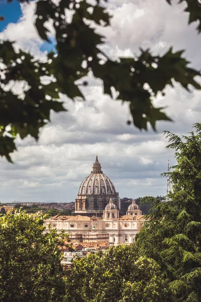 Domkyrkan Peter Vatikanstaten Rom Italien Mitten Träden Renovering Katedralen Med — Stockfoto