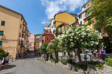 Riomaggiore, İtalya. 15 Ağustos 2020: Çiçek açan ağaçlar ve İtalya 'nın Cinque Terre bölgesindeki Riomaggiore kasabasında gezinen insanlar. Renkli evler ve binalar.