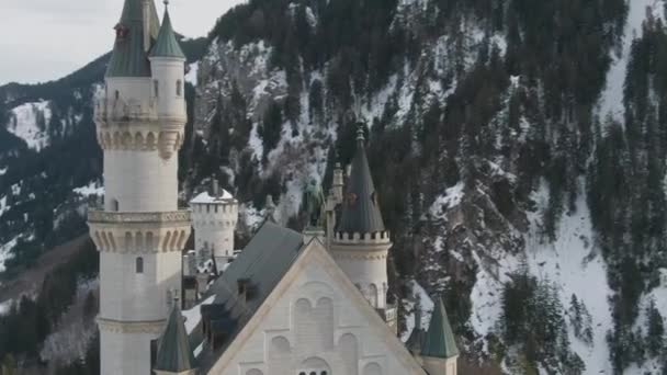 Castillo de Neuschwanstein en invierno y estatua. Alpes bávaros, Alemania. Vista aérea — Vídeo de stock