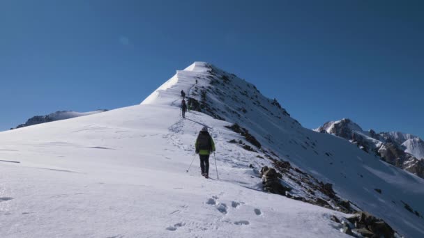 Os montanhistas estão chegando ao topo da montanha nevada no Quirguistão — Vídeo de Stock