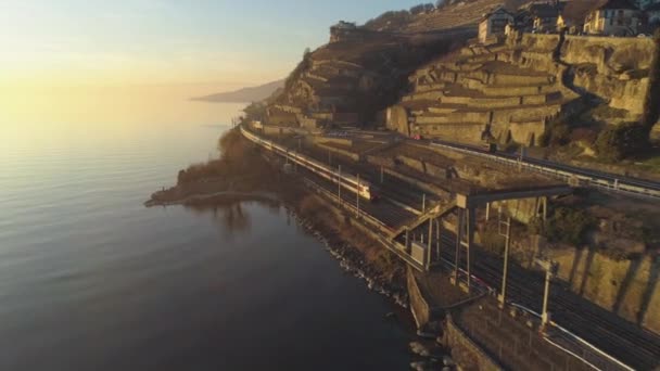 De trein gaat langs de oever van het meer van Genève bij zonsondergang. Wijngaarden en huizen. Luchtfoto — Stockvideo