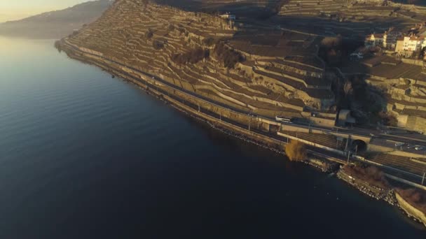선셋의 제네바 호수. 계단식 포도원. 스위스. 공중 보기 — 비디오