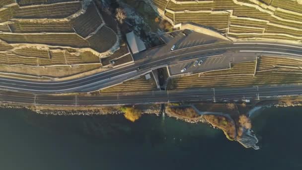 Lago Geneva Shore al atardecer. Viñedos de Lavaux, Vaud, Suiza. Vista aérea — Vídeo de stock