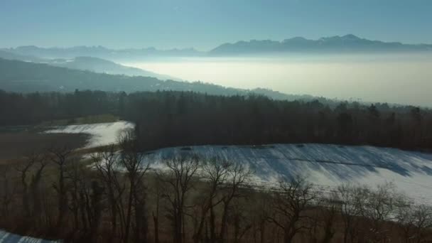 Kış Sabahı Sis ile Cenevre Gölü. İsviçre Alpleri, İsviçre. Havadan Görünüm — Stok video