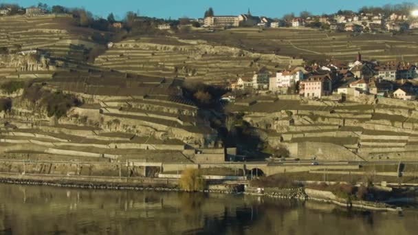 Terraced Vineyards and Village on Lake Geneva. Lavaux, Suiza. Vista aérea — Vídeos de Stock