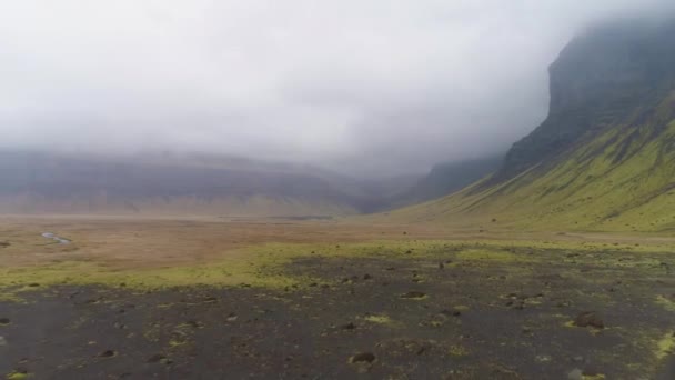 Green Mountains, Volcanic Black Sand Moss. Пейзаж Исландии. Вид с воздуха — стоковое видео