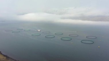 Somon Balık Çiftliği. İzlanda'da su ürünleri yetiştiriciliği. Havadan Görünüm