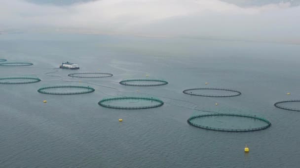 Pescadero. Acuicultura en Islandia. Vista aérea — Vídeo de stock