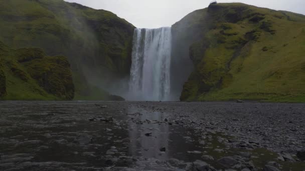 Skogafoss Waterfall and Green Landscape. Iceland — Stock Video