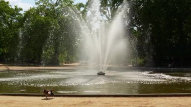 Yaz güneşli gününde Brüksel Parkı 'ndaki çeşme. Brüksel, Belçika