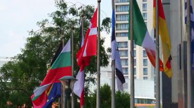 Brüksel, Belçika 'da Avrupa Birliği Ülkeleri Bayrakları ve Yeşil Ağaçlar. Yavaş Hareket