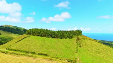 Pau Pique Gölü ve Pastureland ile Lush Green Hills. Atlantik Okyanusu. Azores, Sao Miguel Adası. Portekiz. Hava görüntüsü. İnsansız Hava Aracı İleri, Eğiliyor