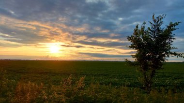 Gökyüzünün güzel manzarası 
