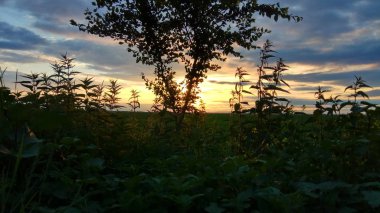 Gökyüzünün güzel manzarası 