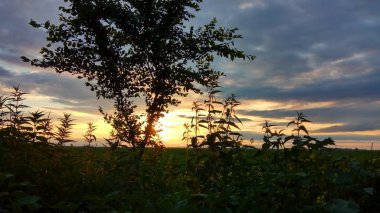 Gökyüzünün güzel manzarası 