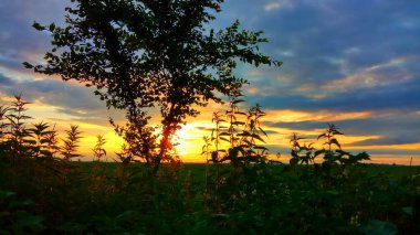 Gökyüzünün güzel manzarası 