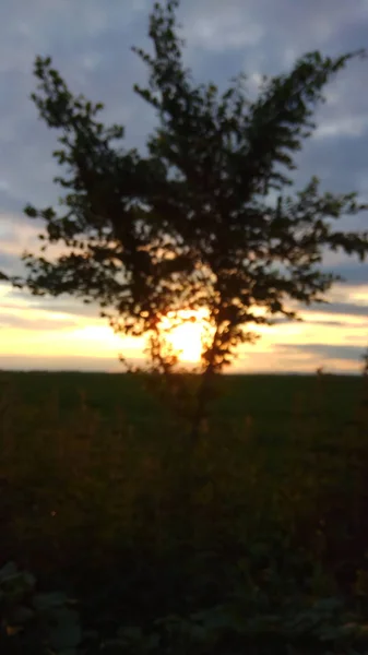 Schöner Blick Den Himmel — Stockfoto