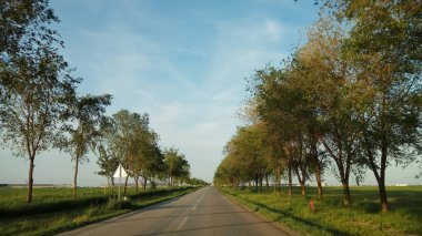 Arabadan doğanın güzel görünümü