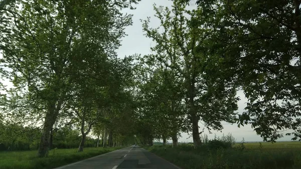 Bella Vista Della Natura Dalla Macchina — Foto Stock