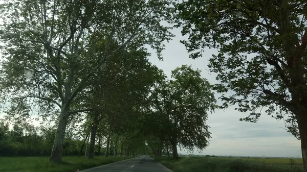 Prachtig Uitzicht Natuur Vanuit Auto — Stockfoto