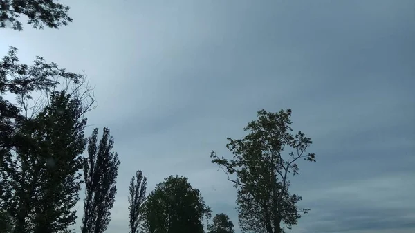 Hermosa Vista Naturaleza Desde Coche —  Fotos de Stock