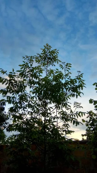 Bela Vista Céu — Fotografia de Stock