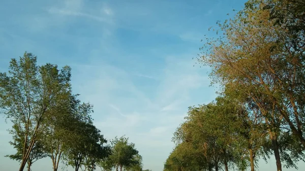 Prachtig Uitzicht Natuur Vanuit Auto — Stockfoto