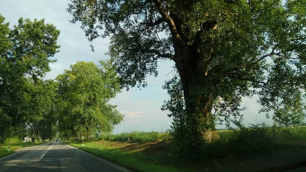 Bella Vista Della Natura Dalla Macchina — Foto Stock