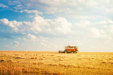 yaz gününde alanında çalışan hasat makinesi