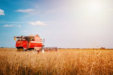Çiftlik alanı olgun buğday hasat hasat Tarım makineleri birleştirmek