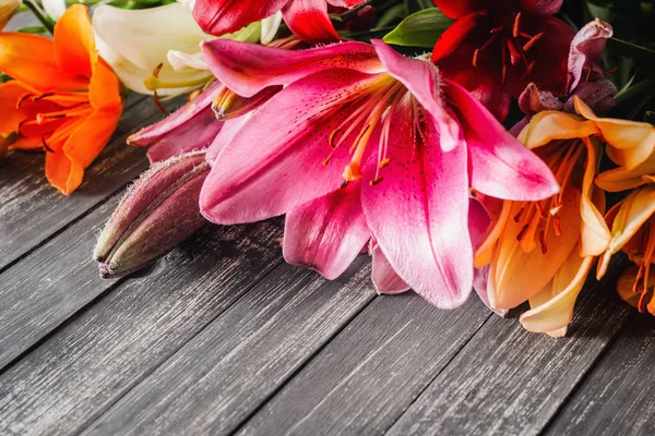 Цветы лилии на темном фоне с копировальным пространством — стоковое фото