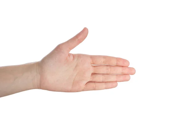 Mano de mujer muestra gesto de dirección, mano abierta isokated sobre un fondo blanco — Foto de Stock