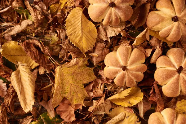 Домашнее печенье в форме тыквы в осенних листьях. Хэллоуин ручной работы печенье на столе, закрыть — стоковое фото