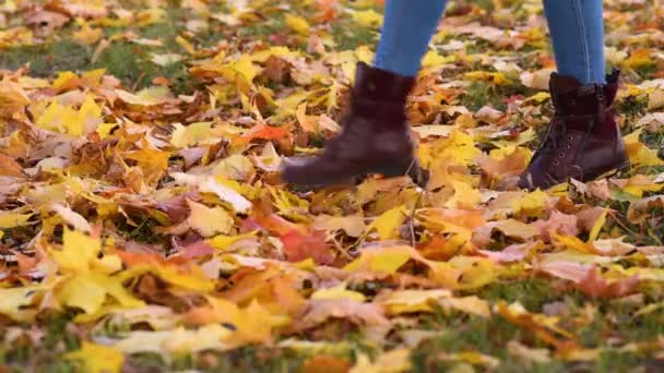 Zblízka Ženy Nohy Botách Procházky Parku Kopy Barevné Podzimní Listí — Stock video