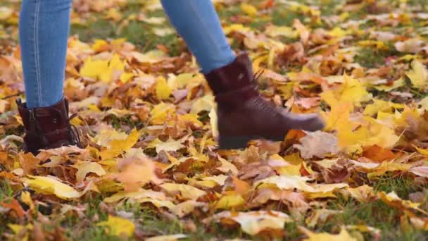 Közelkép Női Lábak Cipőben Sétál Parkban Rúg Színes Őszi Levelek — Stock videók