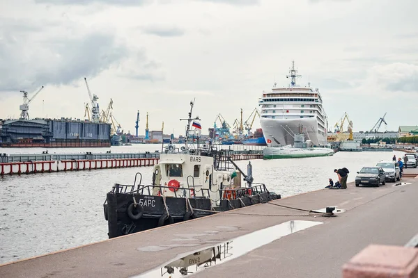 作業用クレーン橋に対する港における貨物船 — ストック写真