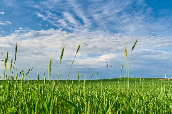 Wind turbine in the field. Wind power energy concept. Renewable energy for climate protection