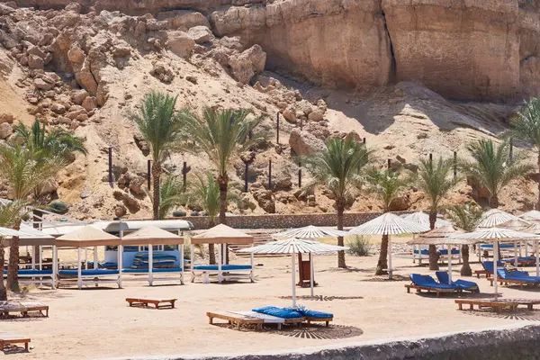 Palmeras Tumbonas Vacías Con Sombrilla Mar Playa Temporada Turística Esperando — Foto de Stock