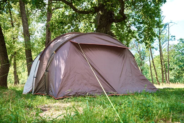 Campimg Tienda Bosque Pinos Día Verano Campamento Turístico — Foto de Stock