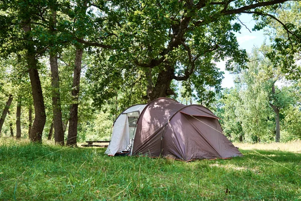 Campimg Tienda Bosque Pinos Día Verano Campamento Turístico — Foto de Stock