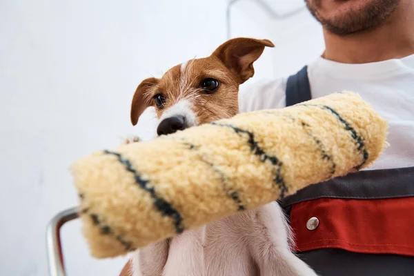 Человек Своей Собакой Проводит Ремонтные Работы Комнате Хорошие Отношения Между — стоковое фото