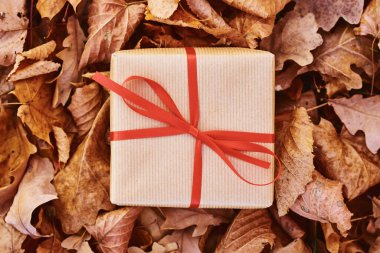 Düşen sonbahar yaprakları arka planında hediye kutusu