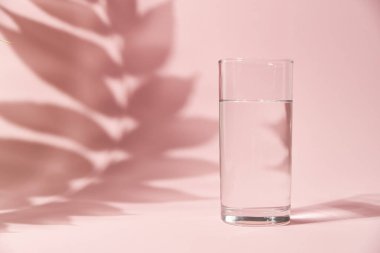 Pembe arka planda bir bardak su ve yaprak gölgesi