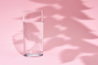 Pembe arka planda bir bardak su ve yaprak gölgesi