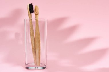 Bambu diş fırçaları cam ve yaprak gölgeleri pembe arka planda