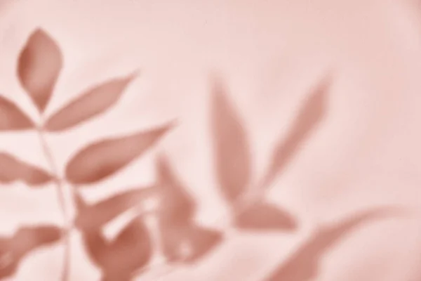 ピンクの背景に葉の影 創造的な抽象的な背景 自然影のパターン — ストック写真