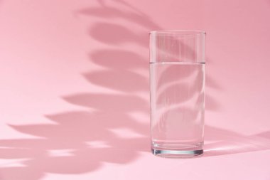 Pembe arka planda bir bardak su ve yaprak gölgesi