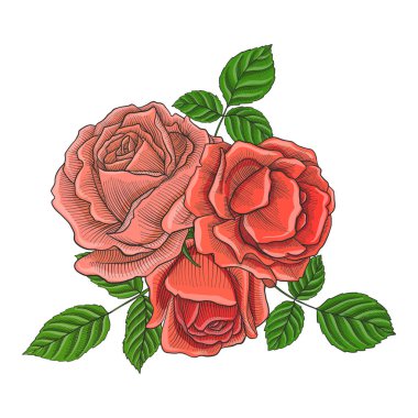 Vintage vektör çiçek bileşimi