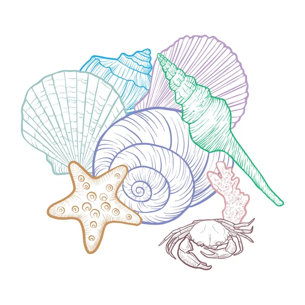 Vector background with seashells — Stock Vector
